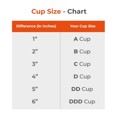 22 Best Types of Bra Every Women Must Know | 2024