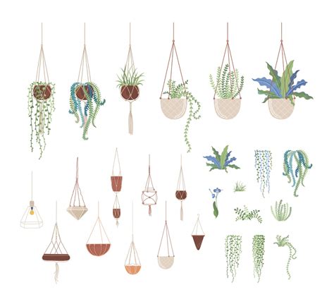 Domestic plants and hanging pots flat illustrations set | Premium Vector
