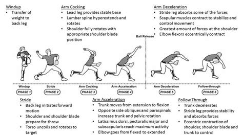 Image result for Proper Pitching Form