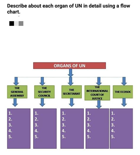 discribe the organ of un - Brainly.in