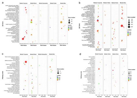 Transcriptome and Metabolome Analyses Revealed the Response Mechanism ...