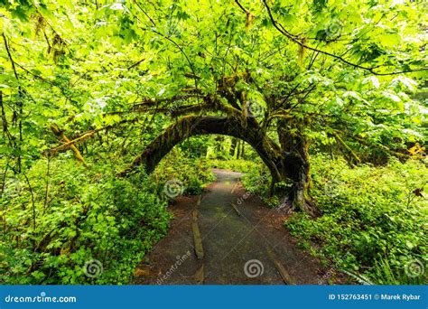 Image result for Working with JSON in JavaScript