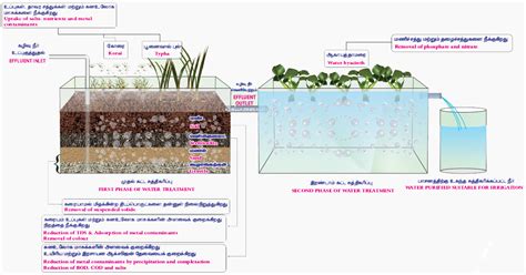 TNAU Agritech Portal :: Schemes & Services