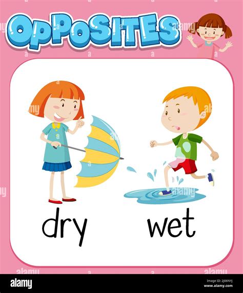 Opposite words for dry and wet illustration Stock Vector Image & Art ...