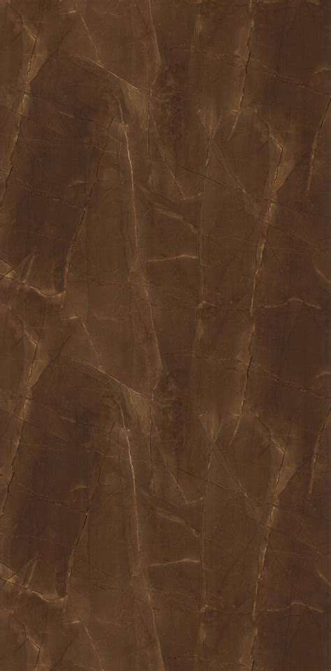 3229 GOLDEN SATVARIO || Supermica Pvt. Ltd.