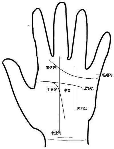 掌纹图解男左手详解 男人的左手的手相图解