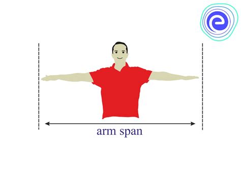 Arm Length Measurement