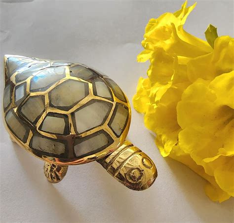 Buy SHIVAE Essentiel Brass Tortoise with Wish Fulfilling Compartment ...