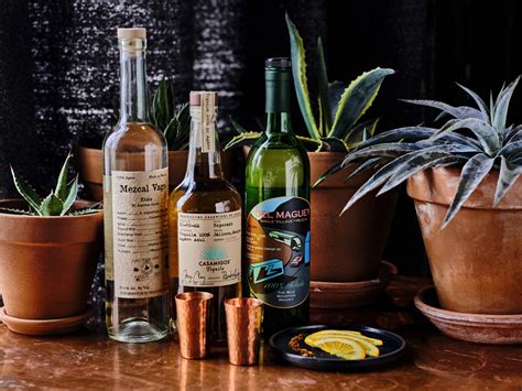Spirits of agave: Everything you need to know about tequila and mezcal