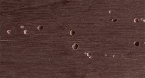 Digital Library of Stories for Kids | Stories | Storyweaver