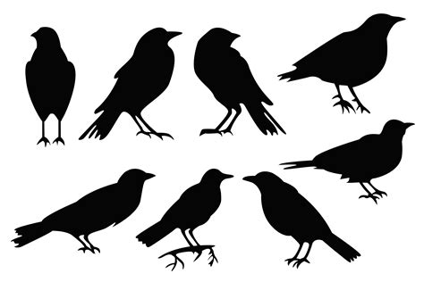 Crow Clipart Easy Draw - Crow Outline is a free transparent #4026716