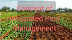 Concept of Integrated Pest Management - MyKnowledgeBase.in