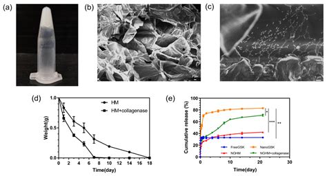 Collagenase-Responsive Hydrogel Loaded with GSK2606414 Nanoparticles ...