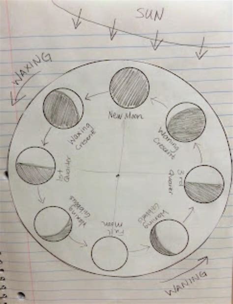 explain the phases of moon with a suitable diagram. - Brainly.in