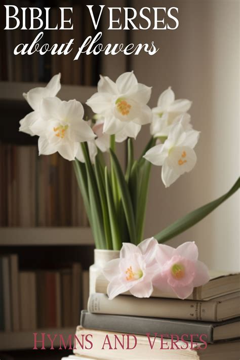 Bible Verse Clothe The Flowers Of The Field at Keith Crawford blog