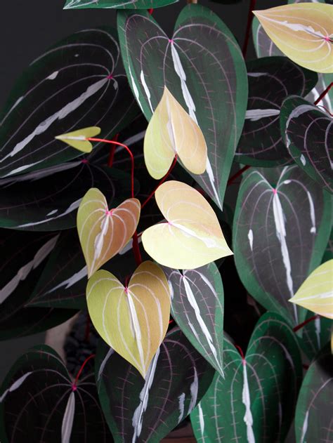 Image result for Paper Plant Tutorial