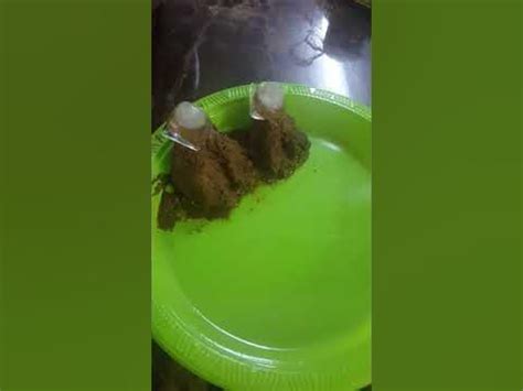 How Do Rivers Form 的图像结果