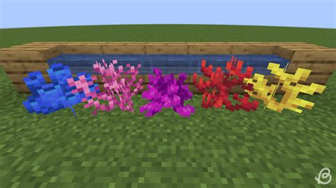 Image result for Coral Farm Minecraft Java