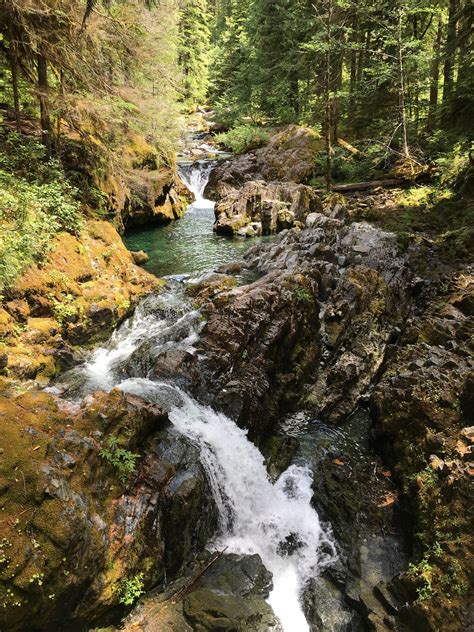 Opal Creek Wilderness - Willamette National Forest — Old-Growth Forest ...