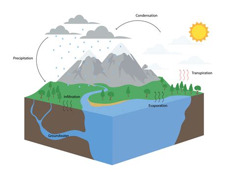 Water Cycle Printable Diagram