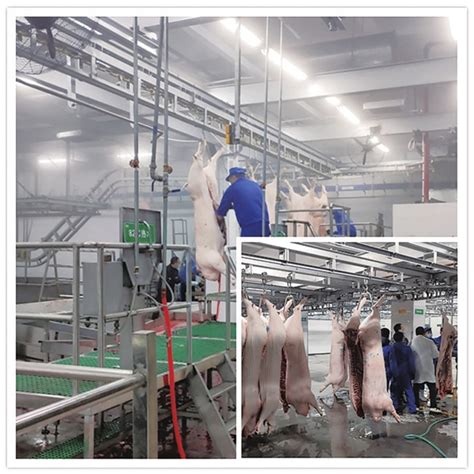 鸡屠宰生产线全自动鸡屠宰生产线 188,66776111 宏德-食品商务网