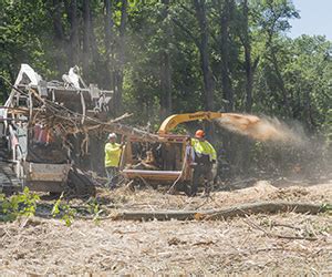 Image result for TreeChopper