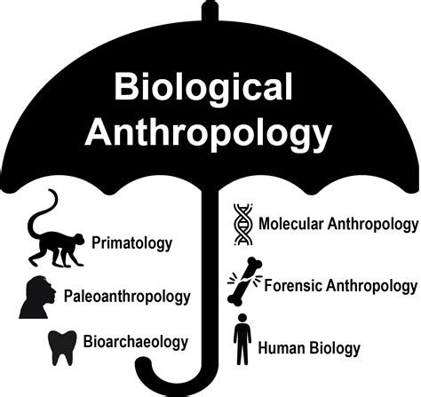 1.3: What is Biological Anthropology - Social Sci LibreTexts