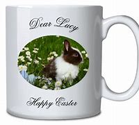 Image result for Bunny Mug Shot