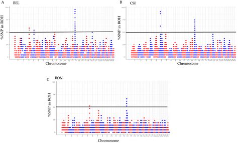 Runs of Homozygosity and Quantitative Trait Locus/Association for Semen ...