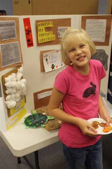 Home Science Project 的图像结果