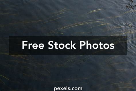 1080P壁纸桌面 的图像结果