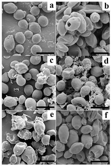 Enhanced Antifungal Activity of Engineered Proteins via Swapping ...