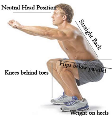 Squats Made Simple - Seventeen Different Types of Squats - HubPages