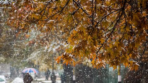 In pictures: Srinagar gets its first snowfall of the season | Condé ...