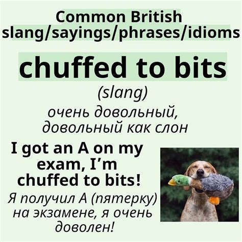 Распространенные британские поговорки/фразы/идиомы/сленг👉chuffed to ...
