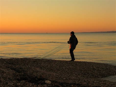 Image result for Catching Shiners with a Cast Net