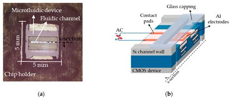 Characterization and Separation of Live and Dead Yeast Cells Using CMOS ...