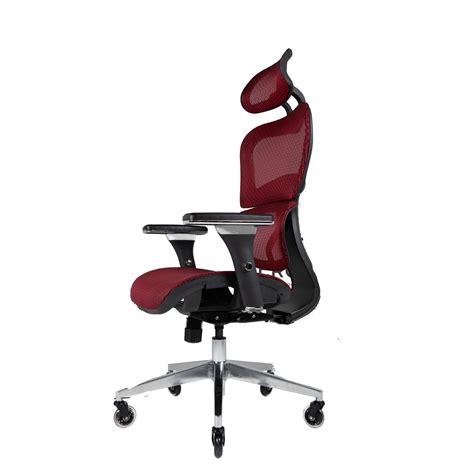 Buy Nouhaus Ergo3D Ergonomic Office Chair Lumbar Support Mesh Office ...