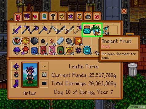 Ancient Seeds in Stardew Valley: How to Get & Use Them