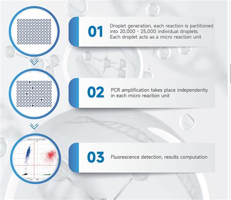 Image result for Digital PCR Tutorial