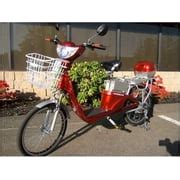 Buy Electric Bikes Online on Ubuy India at Best Prices