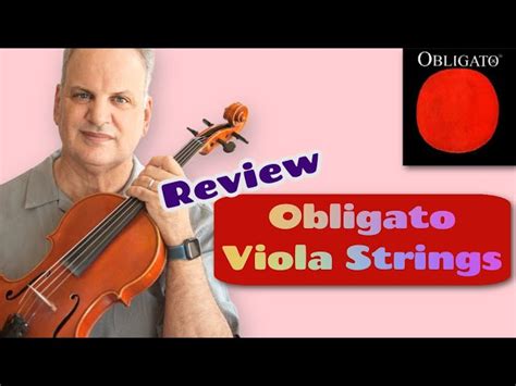 Larsen Viola Strings Larsen Viola String Set - Medium Gauge Ball-End ...