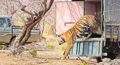 Hadoti Tourism Development Society