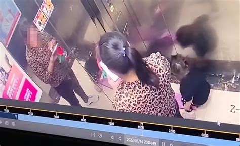 杭州2岁女童被留电梯后坠亡，孩子父亲：残疾了还可以自己养，现在却没有命了_腾讯新闻