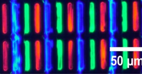 Image result for Quantum LED