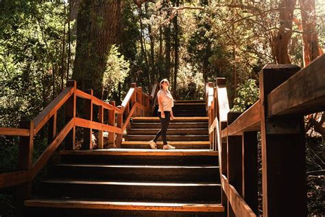 2023 Bariloche: Boat Trip to Victoria Island and the Arrayanes Forest