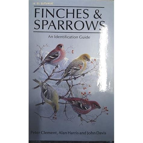 Image result for Sparrow Identification Guide
