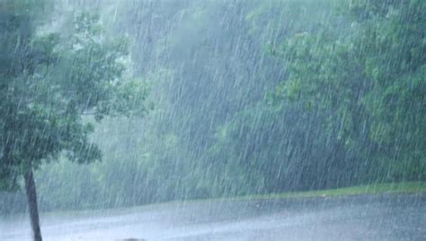 Regen Bilder - Kostenloser Download auf Freepik