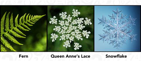 Numeric Patterns 的图像结果