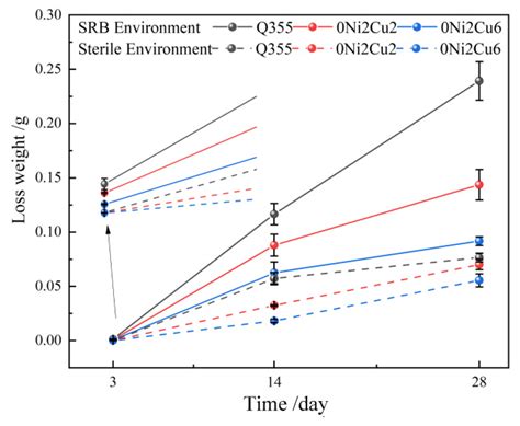 The Role of the Bactericidal Mechanism of Copper Elements and Its ...